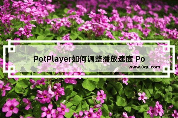 PotPlayer如何调整播放速度 PotPlayer调整播放速度的方法