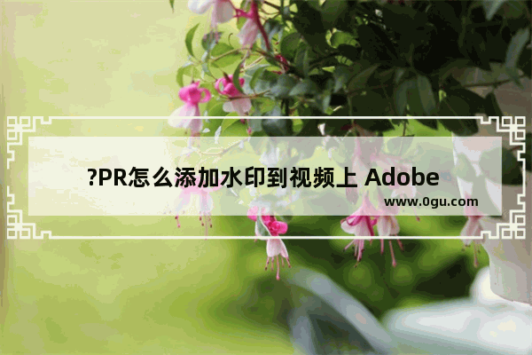 ?PR怎么添加水印到视频上 Adobe premiere在视频上添加图片水印的方法教程