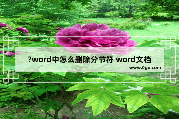 ?word中怎么删除分节符 word文档中删除分节符的方法教程