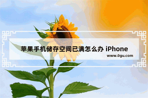 苹果手机储存空间已满怎么办 iPhone清理内存的方法