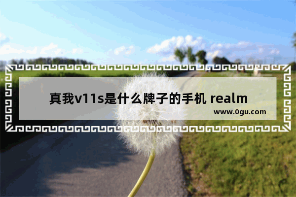 真我v11s是什么牌子的手机 realme真我V11s体验评测