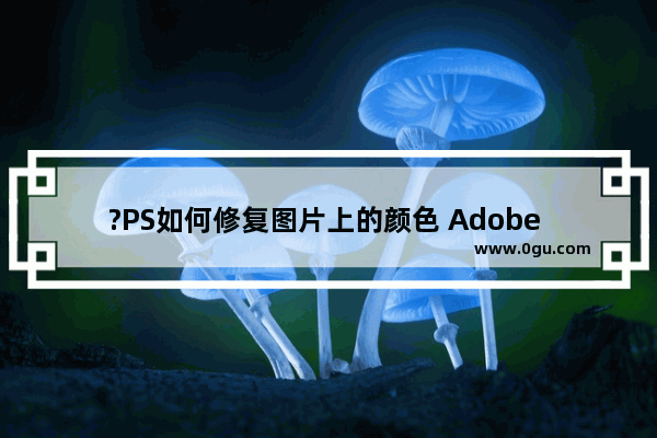 ?PS如何修复图片上的颜色 Adobe Photoshop修复图片颜色的方法教程