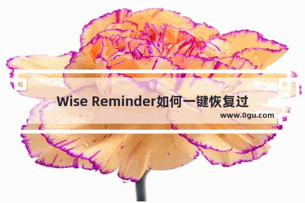 Wise Reminder如何一键恢复过期提醒 Wise Reminder一键恢复过期提醒的方法