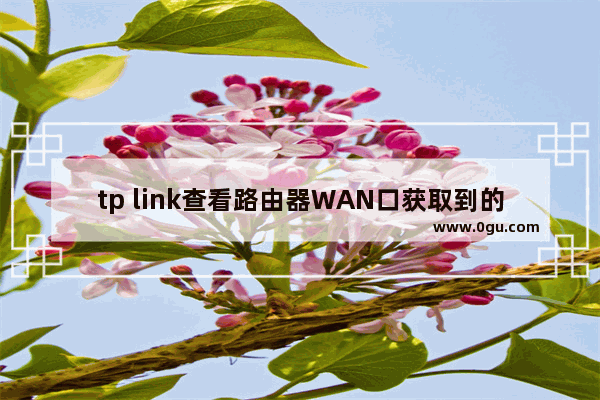 tp link查看路由器WAN口获取到的IP地址图文