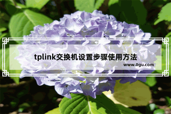 tplink交换机设置步骤使用方法