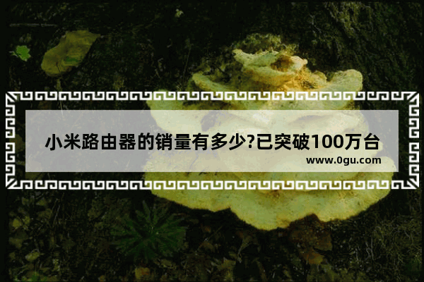 小米路由器的销量有多少?已突破100万台