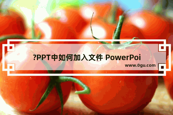 ?PPT中如何加入文件 PowerPoint演示文稿中插入文件的方法教程