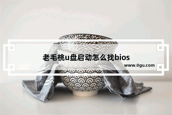 老毛桃u盘启动怎么找bios