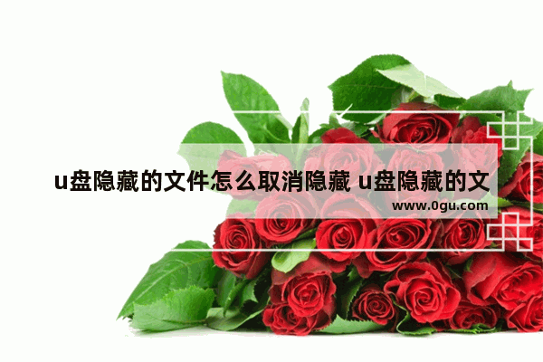 u盘隐藏的文件怎么取消隐藏 u盘隐藏的文件怎么取消隐藏功能