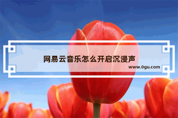 网易云音乐怎么开启沉浸声