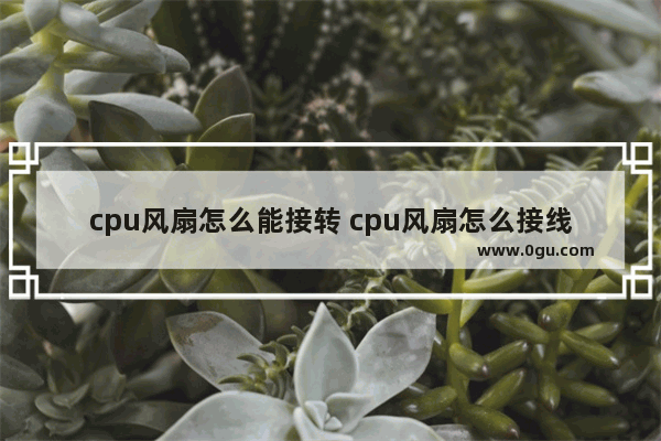 cpu风扇怎么能接转 cpu风扇怎么接线玩