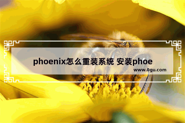 phoenix怎么重装系统 安装phoenix