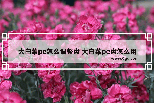 大白菜pe怎么调整盘 大白菜pe盘怎么用