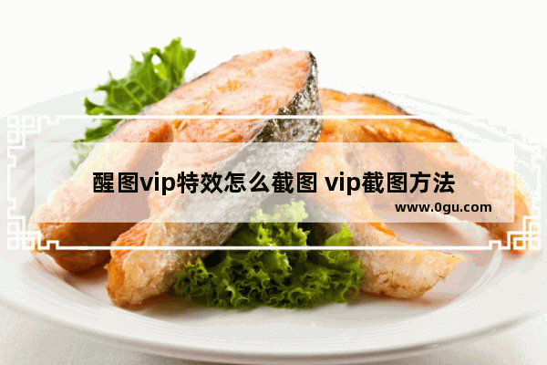 醒图vip特效怎么截图 vip截图方法