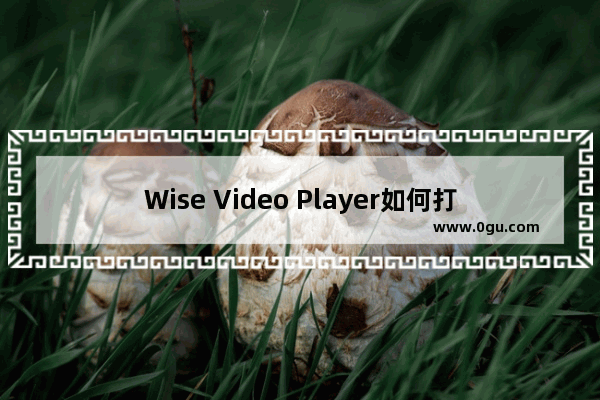 Wise Video Player如何打开本地视频文件 Wise Video Player打开本地视频文件的方法