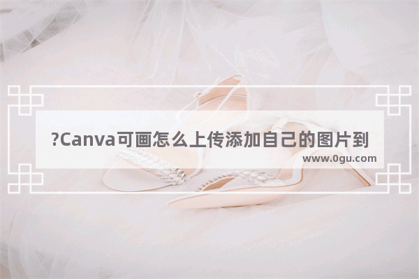 ?Canva可画怎么上传添加自己的图片到设计区域 Canva可画电脑版添加图片的方法步骤