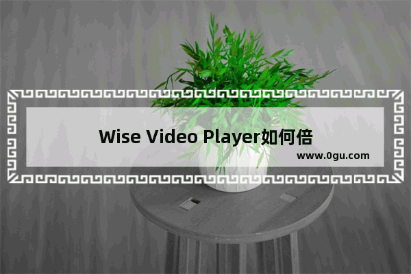 Wise Video Player如何倍速播放视频? Wise Video Player倍速播放视频的方法