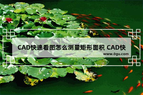 CAD快速看图怎么测量矩形面积 CAD快速看图测量矩形面积的方法