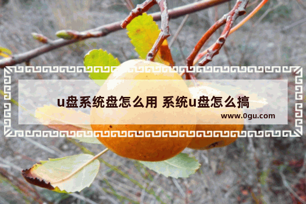 u盘系统盘怎么用 系统u盘怎么搞