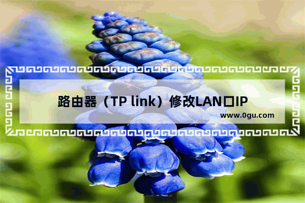 路由器（TP link）修改LAN口IP地址的方法