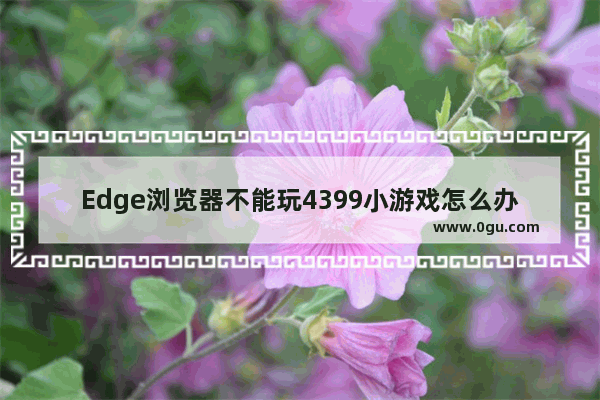 Edge浏览器不能玩4399小游戏怎么办 Edge浏览器玩4399小游戏的方法