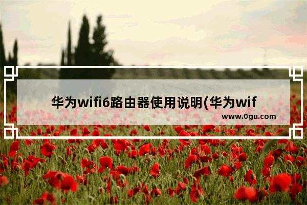 华为wifi6路由器使用说明(华为wifi6+路由器怎么连接)