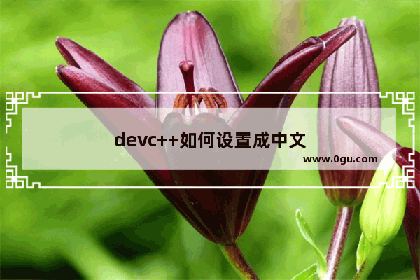 devc++如何设置成中文