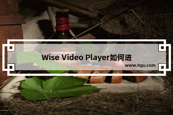 Wise Video Player如何进行图像调节? Wise Video Player进行图像调节的方法