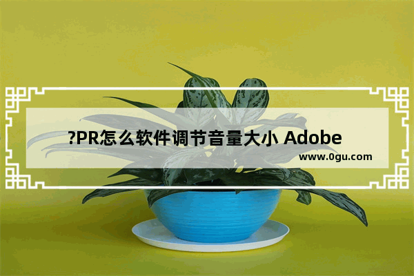 ?PR怎么软件调节音量大小 Adobe Photoshop调音量的方法教程