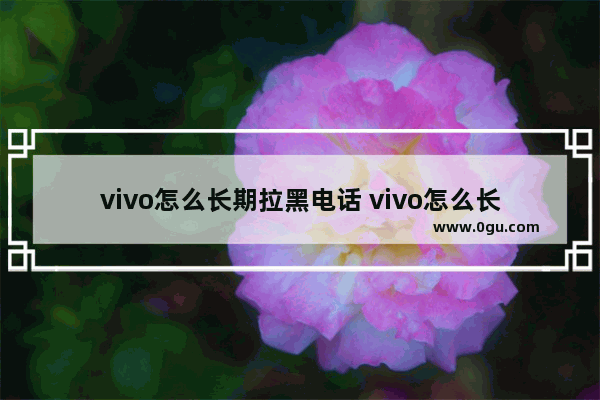 vivo怎么长期拉黑电话 vivo怎么长期拉黑电话号码呢