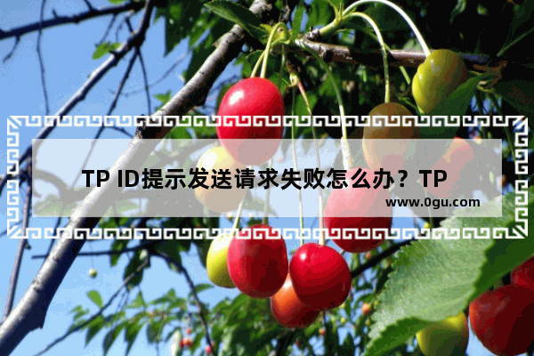 TP ID提示发送请求失败怎么办？TP Link ID发送请求失败现象的原因及解决方案