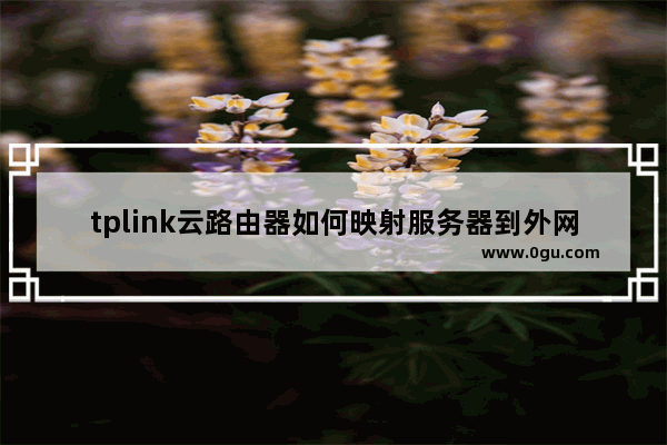 tplink云路由器如何映射服务器到外网教程