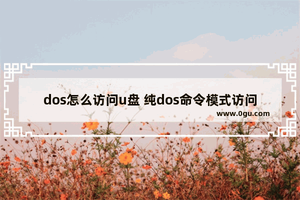 dos怎么访问u盘 纯dos命令模式访问u盘