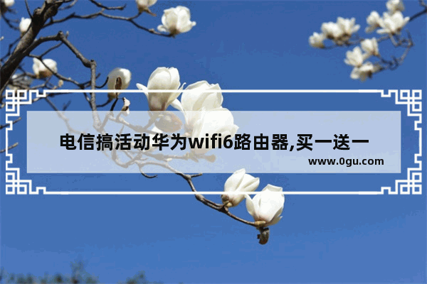 电信搞活动华为wifi6路由器,买一送一(荣耀WIFI6+)