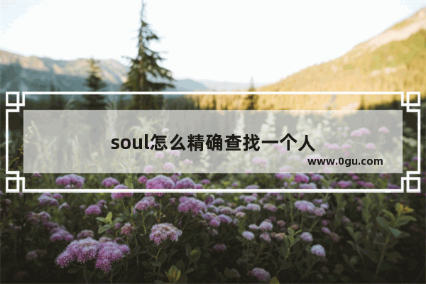 soul怎么精确查找一个人