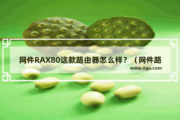 网件RAX80这款路由器怎么样？（网件路由器rax80测评）