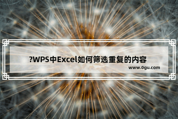 ?WPS中Excel如何筛选重复的内容 WPS表格电脑版筛选重复数据的方法教程