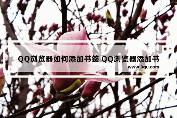 QQ浏览器如何添加书签 QQ浏览器添加书签的方法