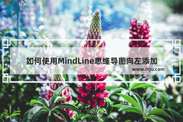 如何使用MindLine思维导图向左添加分支主题 MindLine思维导图向左添加分支主题的方法