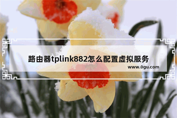 路由器tplink882怎么配置虚拟服务器