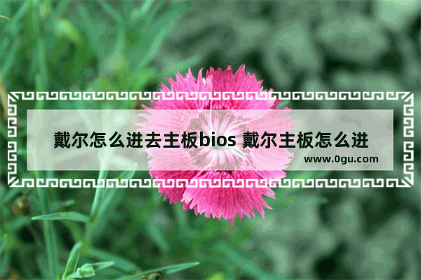 戴尔怎么进去主板bios 戴尔主板怎么进入