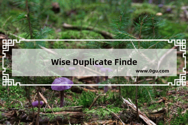 Wise Duplicate Finder软件注册破解教程(附注册机) Wise Duplicate Finder如何快速清理重复文件