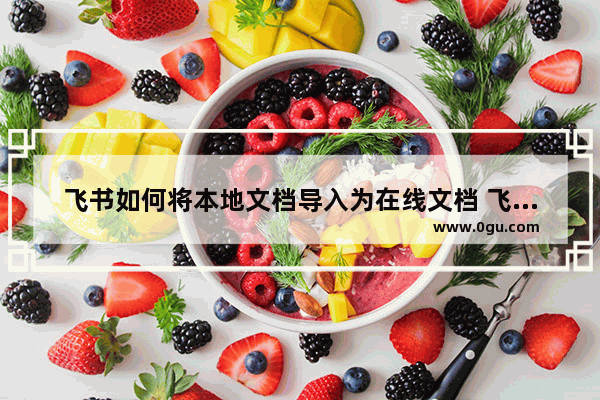 飞书如何将本地文档导入为在线文档 飞书将本地文档导入为在线文档的方法