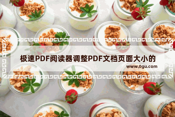 极速PDF阅读器调整PDF文档页面大小的方法 极速PDF阅读器如何调整PDF文档页面大小