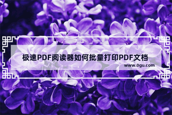 极速PDF阅读器如何批量打印PDF文档 极速PDF阅读器设置批量打印PDF文档的方法