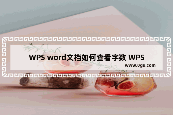 WPS word文档如何查看字数 WPS word文档查看字数的方法