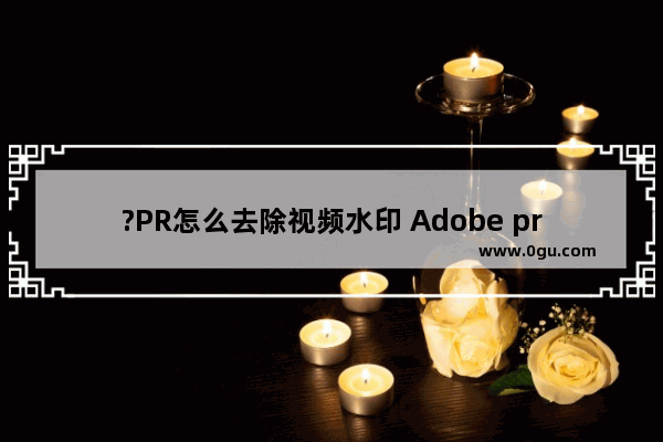 ?PR怎么去除视频水印 Adobe premiere去除视频水印的方法教程