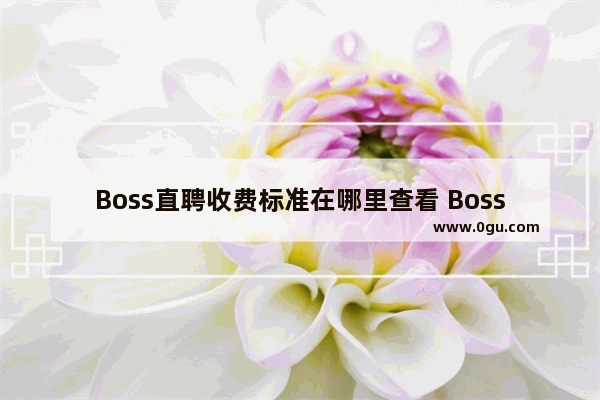 Boss直聘收费标准在哪里查看 Boss直聘收费标准查看教程