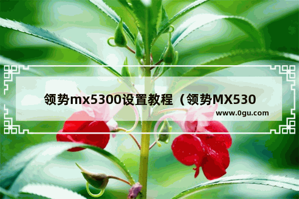 领势mx5300设置教程（领势MX5300的优缺点）