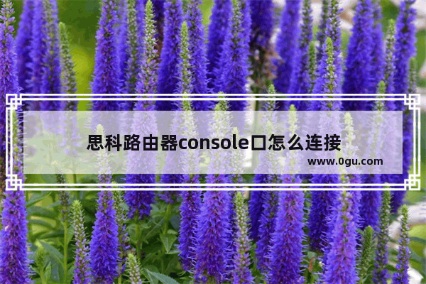 思科路由器console口怎么连接